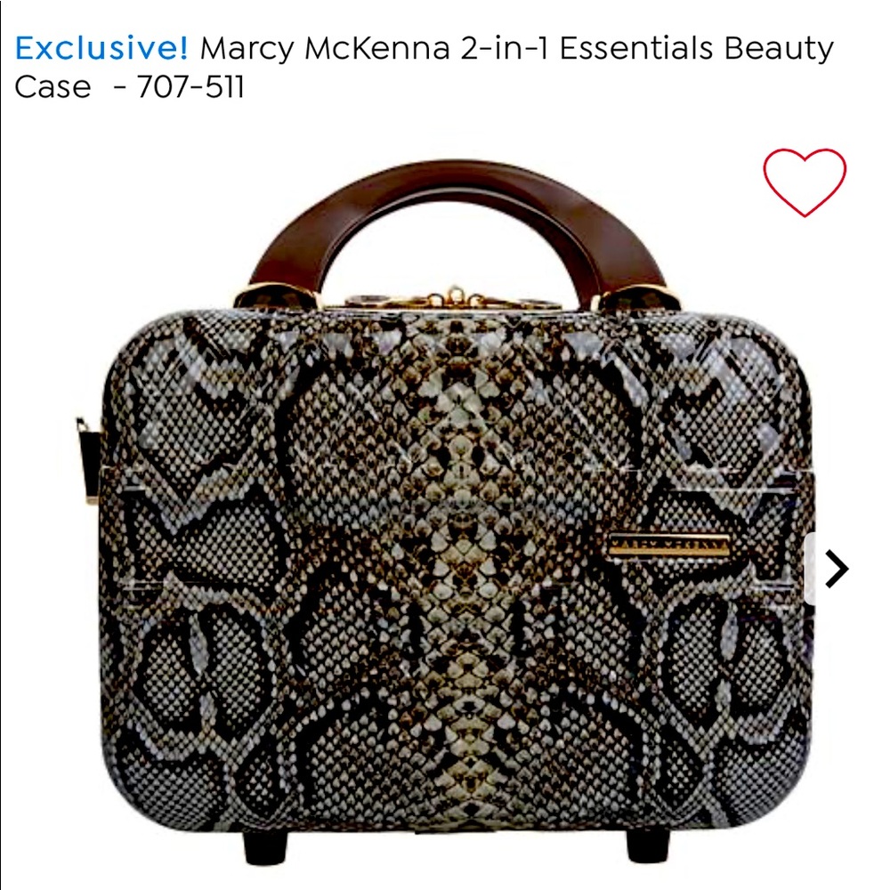 Jet setter makeup traveling case